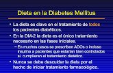 Dieta Diabetes Mellitus