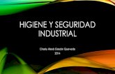 Higiene y seguridad industrial (Glosario Riesgos)
