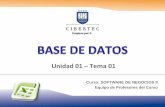 Tema 01   Base de Datos  - 2012 01