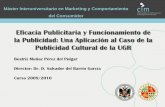 Eficacia Publicitaria y Funcionamiento de la Publicidad: Una Aplicación al Caso de la Publicidad Cultural de la UGR
