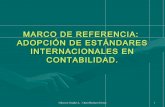 Marco de Referencia EIC.