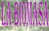 PresentacióN Biomasa