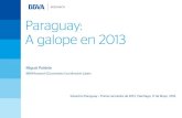 Presentación Situación Paraguay primer semestre 2013