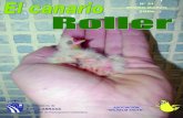 21. el canario roller