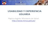 USABILIDAD Y EXPERIENCIA USUARIA ANALISIS WEB PERUANA