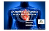 Anatomia y fisiologia basica delcorazon udabol 14