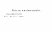 Desarrollo del Sistema cardiovascular y sistema linfático, aspectos anatomofuncionales