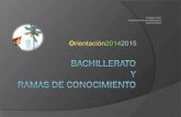 Bachillerato y Ramas conocimiento 2014 2015