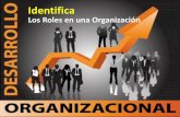Desarrollo organizacional   roles y estatus