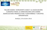 20131018 Taller H2020  la asociación europea para la innovación sobre agricultura productiva y sostenible y grupos operativos. María Herrero