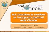 Red colombiana de semilleros de investigación (red colsi) 2011