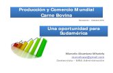 Producción y Comércio mundial - Carne bovina (en español)