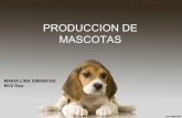 Producción Mascotas 1
