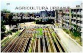 Agricultura urbana 4'