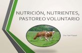 nutrición y nutrientes, pastoreo voluntario en bovinos