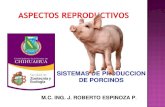 Aspectos reproductivos en cerdos