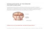 ¿Cómo prevenir un ataque cerebrovascular?