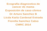 Cancer  de mama ecografia BI-RADS5