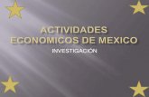 Actividades economicos de mexico 2