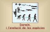 Darwin i l'evolució de les espècies