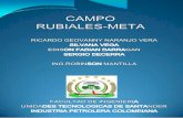 Campo rubiales