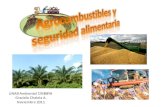 Agrocombustibles y serguridad_alimentaria_1_