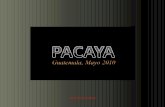 [94]Pacaya (EspañOl) [Cr]