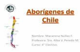 Aborígenes de chile