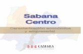 6235 caracteriz empresarial_sabana_centro