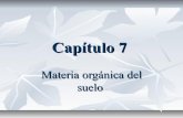 CapíTulo 7 3