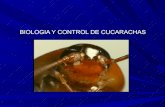 Introduccion a la entomologia cucarachas ecosoluciones
