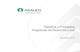 Iniciativas de Arauco para el Desarrollo Local