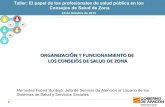 Organización y funcionamiento de los Consejos de Salud de Zaragoza Mercedes Febrel
