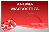 Power point 203a proceso anemia macrocitica