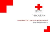 Presentacion voluntariado yucatan