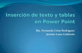 Inserción de texto y tablas en power point