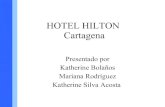 Hotel Hilton. Final