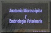 Técnicas histologicas unidad I Anatomía Microsc. y Embr. Veterinarias