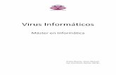 08   virus informaticos