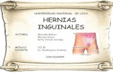 HERNIAS HINGUINALES