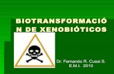 BiotransformacióN De XenobióTicos