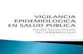 Vigilancia Epidemiologica En Salud Publica 1