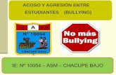 Bullying chacupe  2013