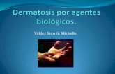 Dermatosis por agentes biológicos