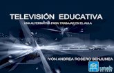 Televisión  educativa