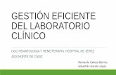 VIII SEMINARIO DE INNOVACIÓN Y EMPRENDIMIENTO EN GESTIÓN Y SERVICIOS - Sebastián Garzón - Aplicación informática para la gestión eficiente en laboratorios clínicos