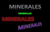 06 minerales 2011 vhoc