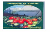Produccion de jitomate en invernaderos