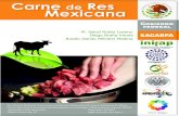 Manual carne de res mexicana