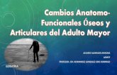 Cambios Anatomofuncionales óseos y articulares del adulto mayor.